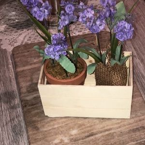 Meet your Posher, Cathy